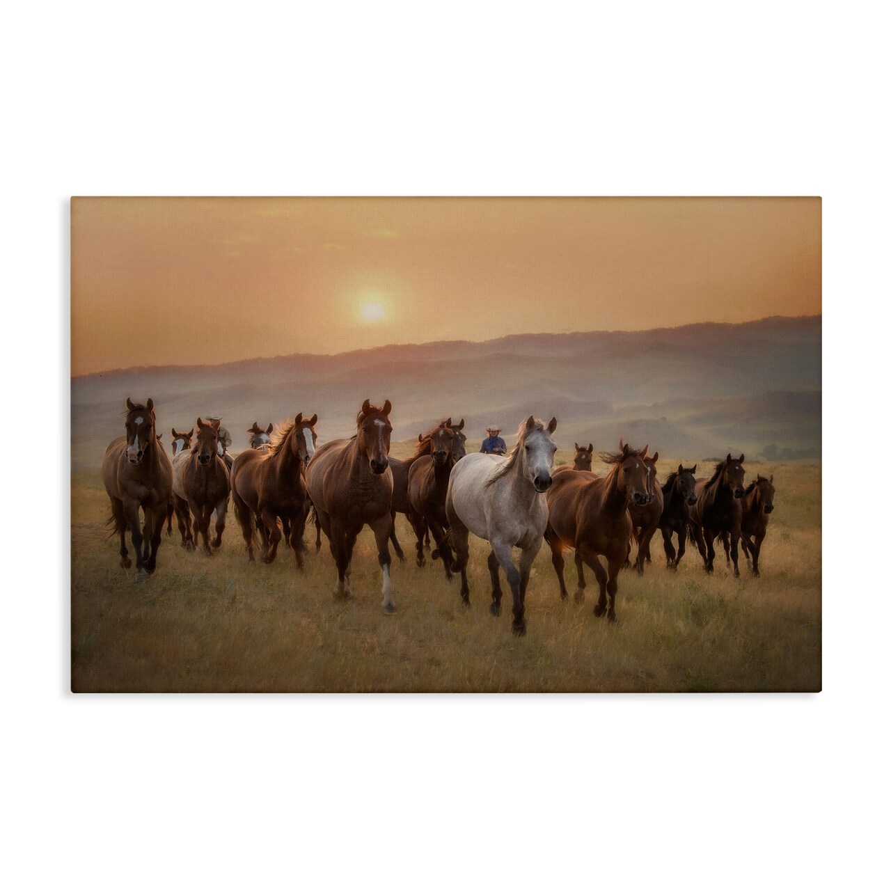 Stupell Industries Herd of Horses on Journey Canvas By PHBurchett